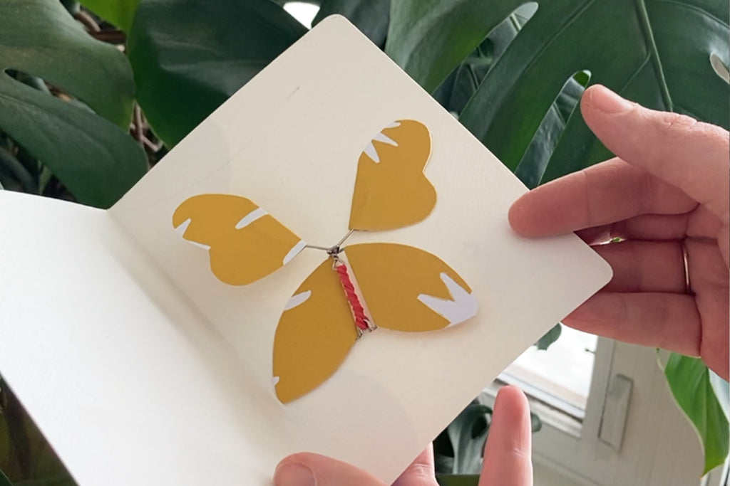 5 Minute Maker: Wind-Up Paper Butterfly
