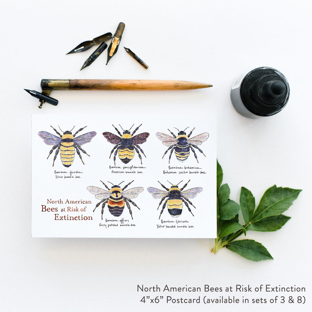 Bombus Affinis - Rusty-Patched Bumble Bee Hand Towel - Because Tees