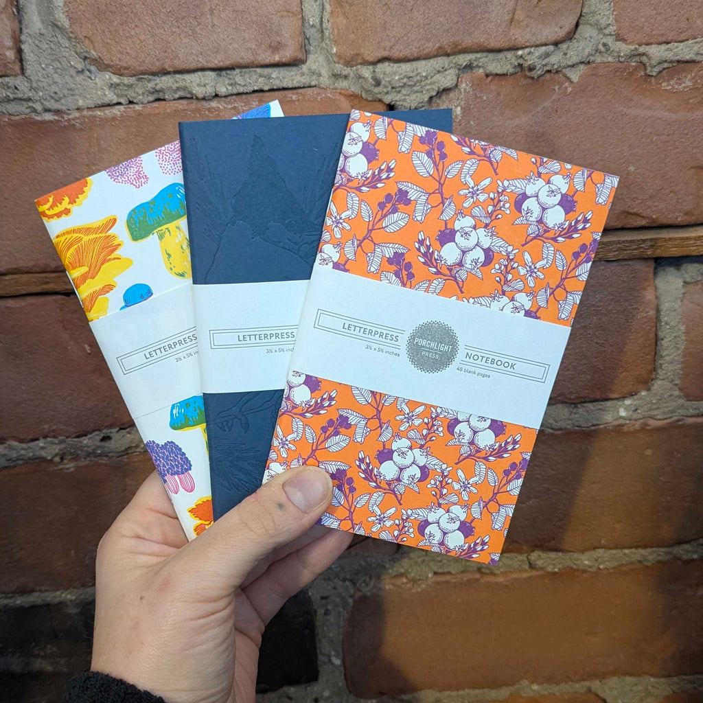 Hand holding colorful notebooks against a brick wall