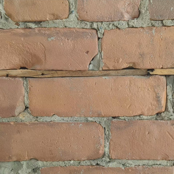 Video of Bunny Mini Note Set. A hand holds the set against a brick wall background, shows the illustrations on either side of each card, and how many are included in each set.