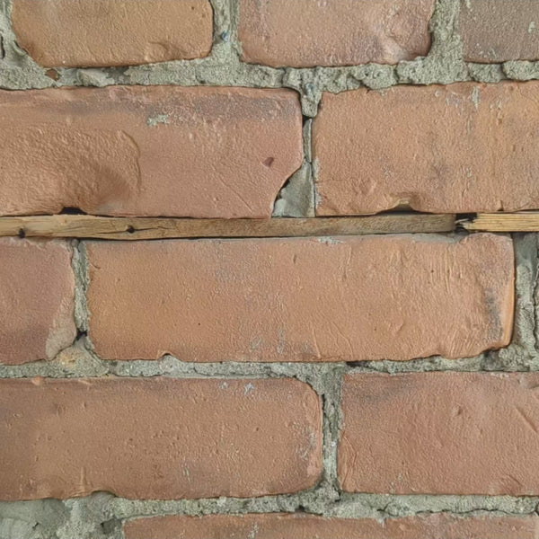 Video of Leaves Mini Note Set. A hand holds the set against a brick wall background, shows the illustrations on either side of each card, and how many are included in each set.