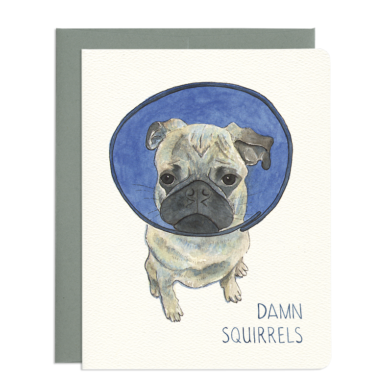 Damn Squirrels - Humorous Dog Cone Sympathy Greeting Card