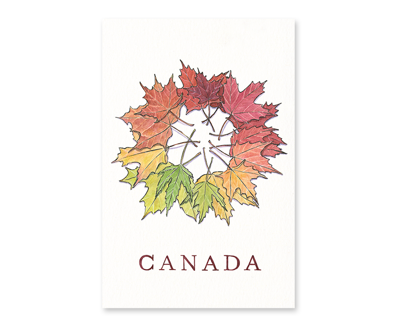 Maple Leaves Post-Card