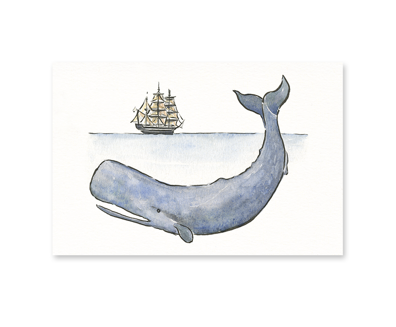 Moby Dick Post-Card